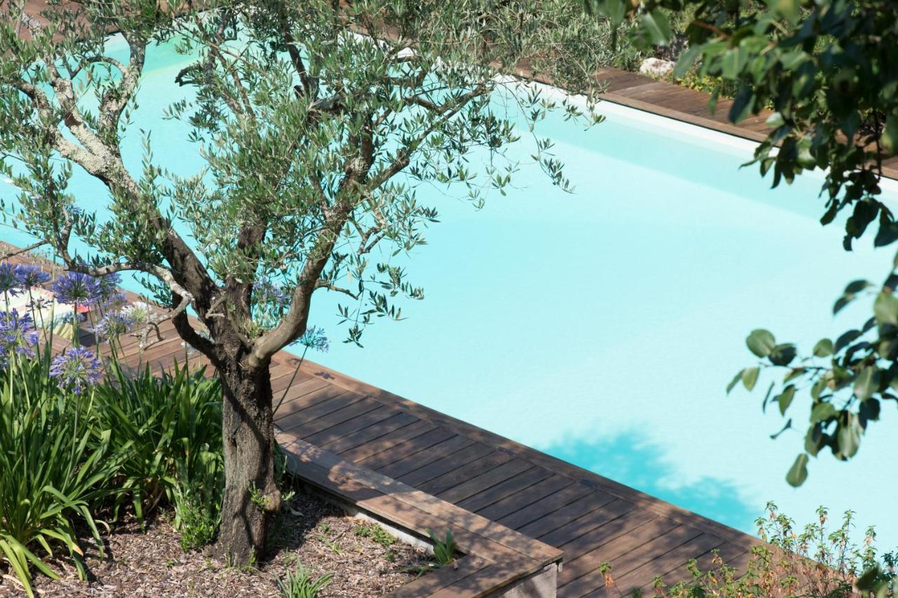 Chateau Du Tasta Camblanes-et-Meynac Εξωτερικό φωτογραφία